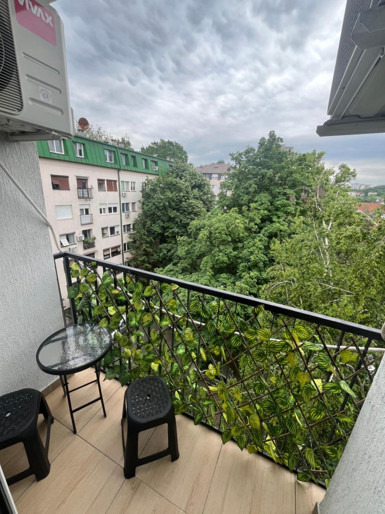 Pavlovic Apartman Belgrado Esterno foto