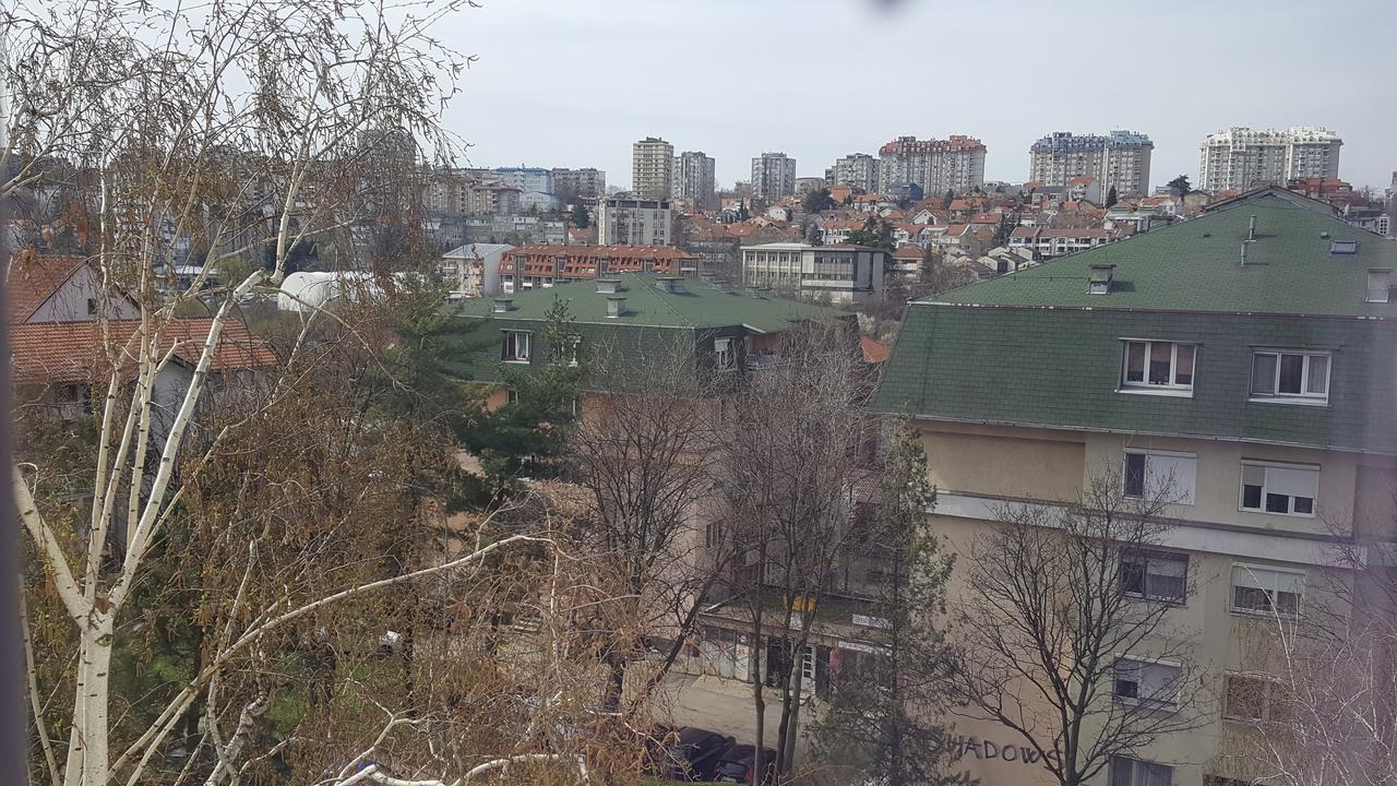 Pavlovic Apartman Belgrado Esterno foto
